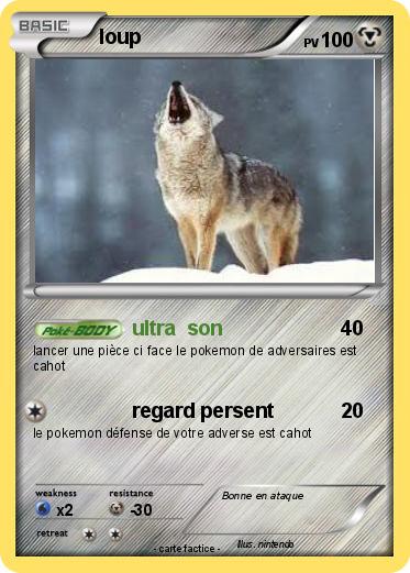 Pokemon loup