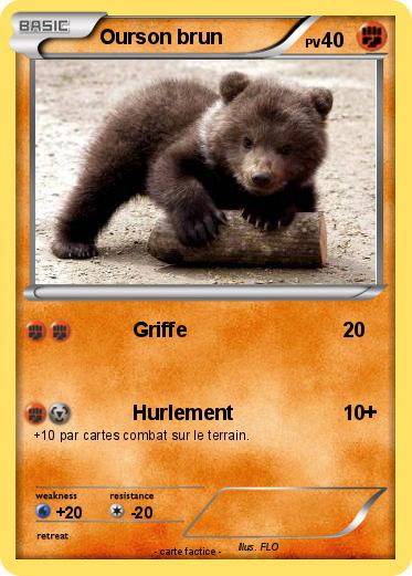 Pokemon Ourson brun
