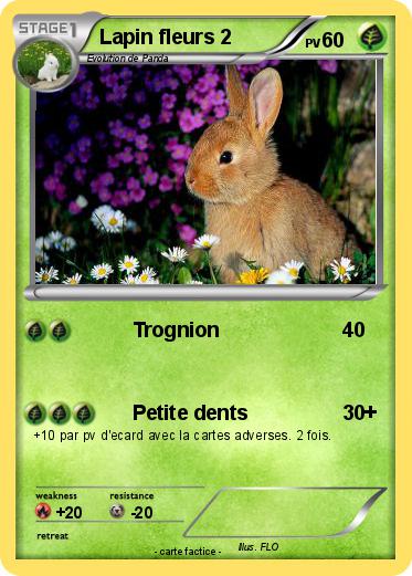 Pokemon Lapin fleurs 2