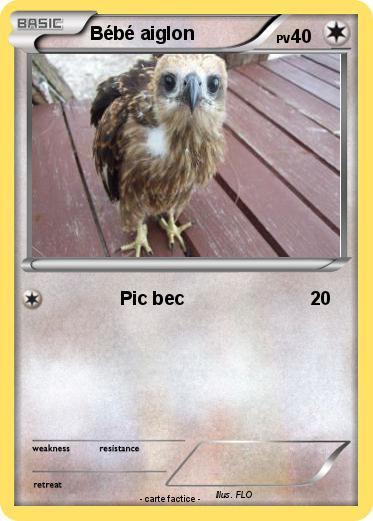 Pokemon Bébé aiglon