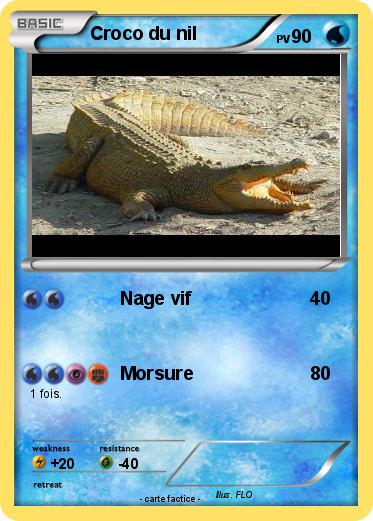 Pokemon Croco du nil