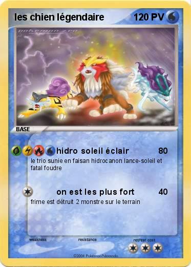 Pokemon les chien légendaire