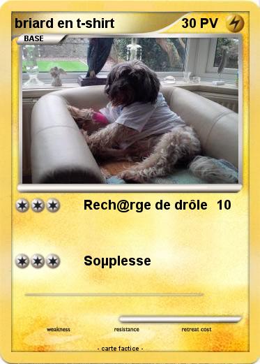 Pokemon briard en t-shirt
