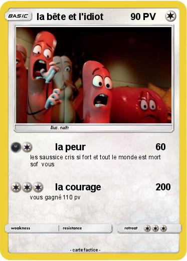 Pokemon la bête et l'idiot
