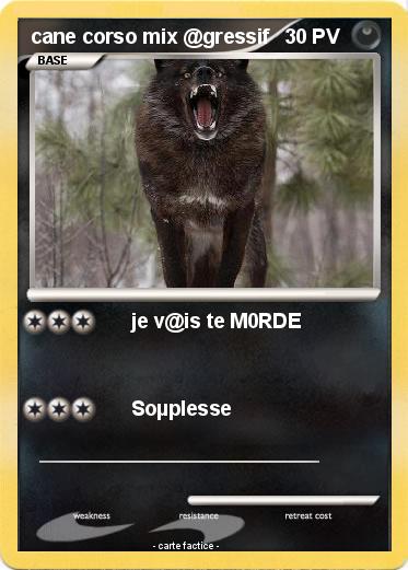 Pokemon cane corso mix @gressif