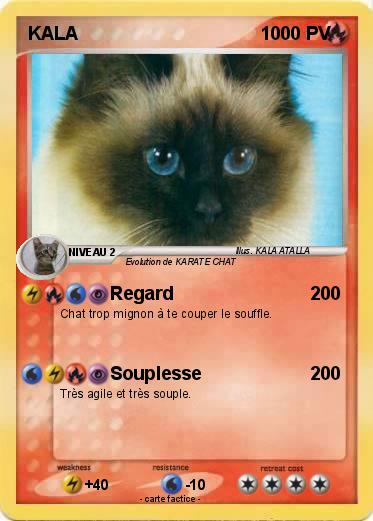 Pokemon KALA