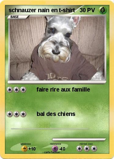 Pokemon schnauzer nain en t-shirt