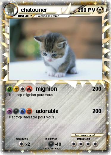 Pokemon chatouner