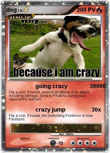 Pokemon dog