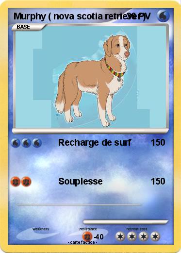 Pokemon Murphy ( nova scotia retriever )