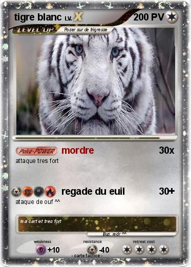 Pokemon tigre blanc