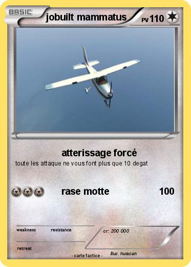 Pokemon jobuilt mammatus