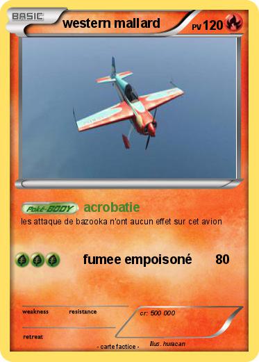 Pokemon western mallard