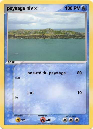 Pokemon paysage niv x