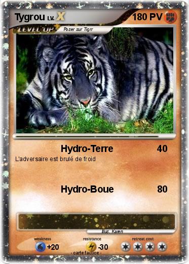 Pokemon Tygrou