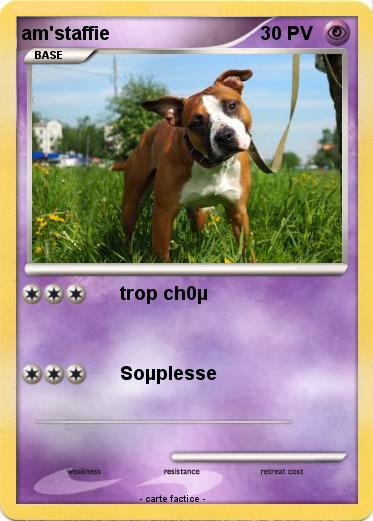 Pokemon am'staffie