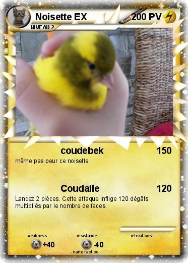 Pokemon Noisette EX