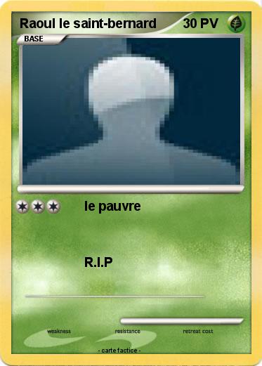 Pokemon Raoul le saint-bernard