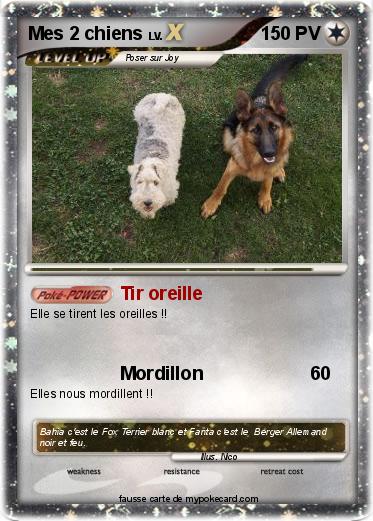 Pokemon Mes 2 chiens