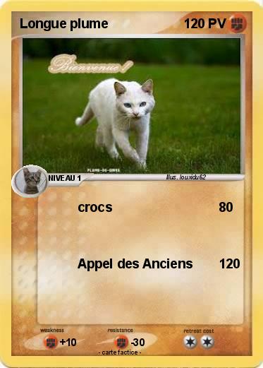 Pokemon Longue plume