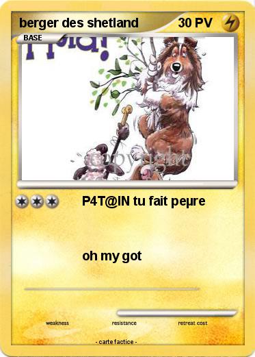 Pokemon berger des shetland