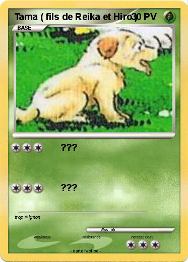 Pokemon Tama ( fils de Reika et Hiro )