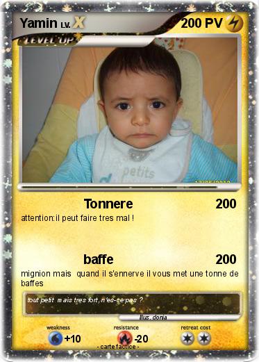 Pokemon Yamin