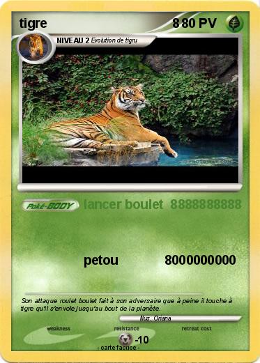 Pokemon tigre                                   8