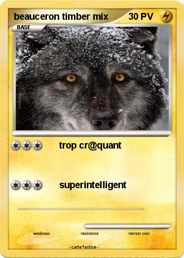 Pokemon beauceron timber mix