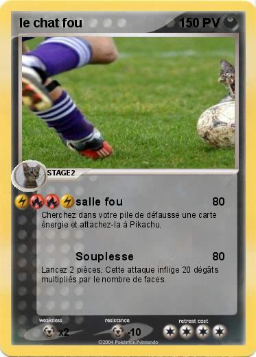 Pokemon le chat fou