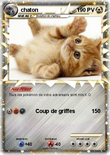 Pokemon chaton