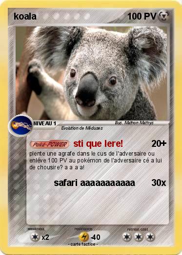 Pokemon koala