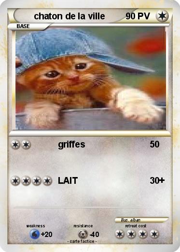 Pokemon chaton de la ville