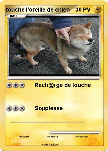 Pokemon touche l'oreille de chien