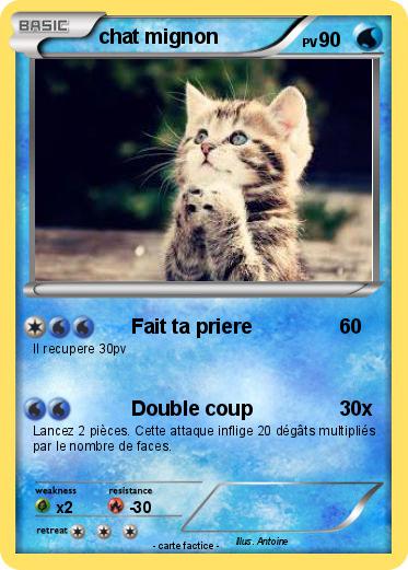 Pokemon chat mignon