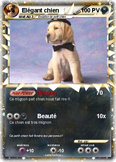 Pokemon Elégant chien