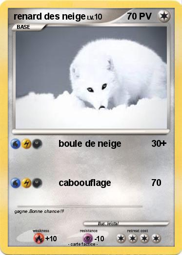 Pokemon renard des neige