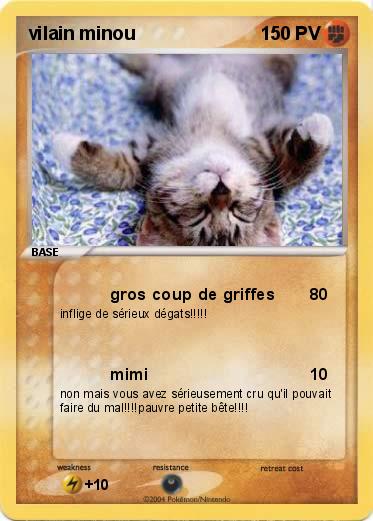 Pokemon vilain minou