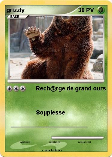 Pokemon grizzly