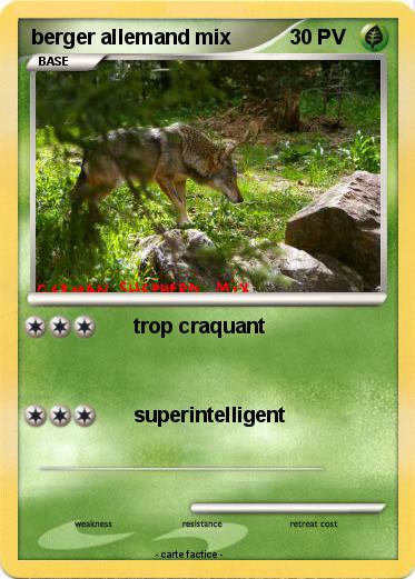 Pokemon berger allemand mix