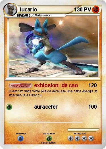 Pokemon lucario
