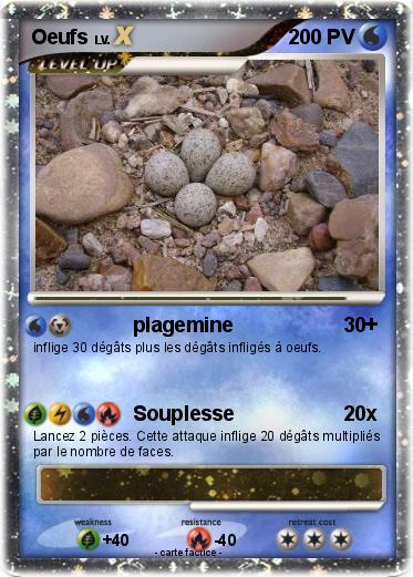 Pokemon Oeufs