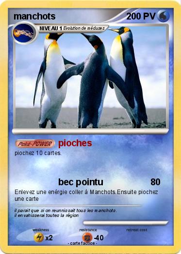 Pokemon manchots