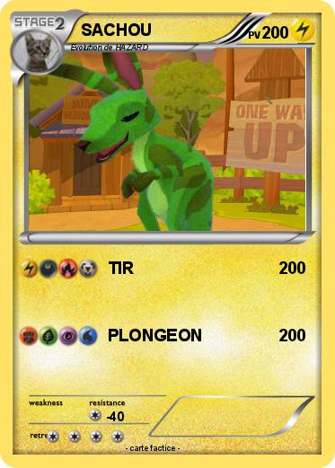 Pokemon SACHOU