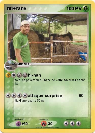 Pokemon titi+l'ane