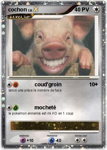 Pokemon cochon