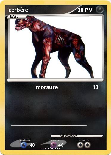 Pokemon cerbére