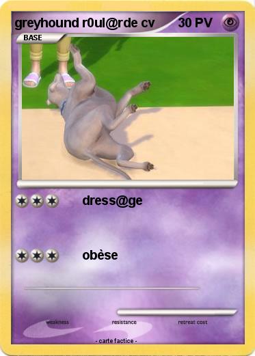 Pokemon greyhound r0ul@rde cv