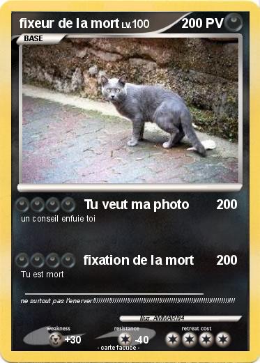Pokemon fixeur de la mort