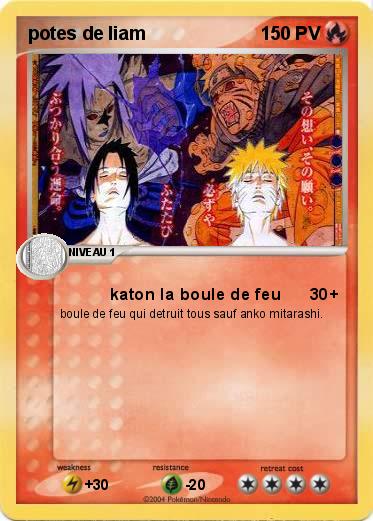 Pokemon potes de liam